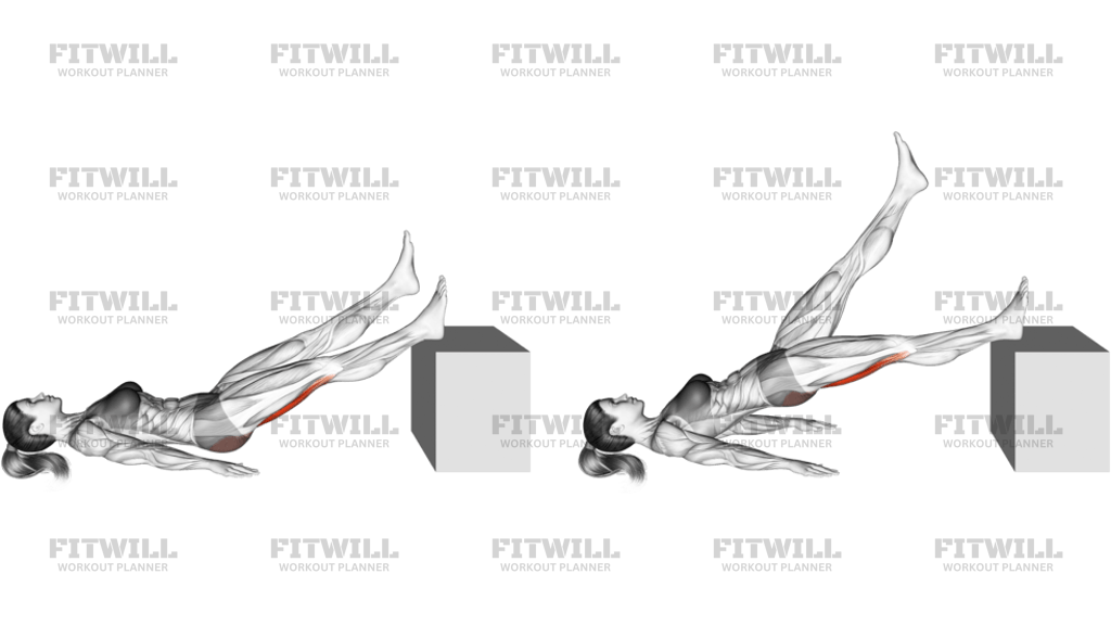 Lying Single Straight Leg Hip Extension
