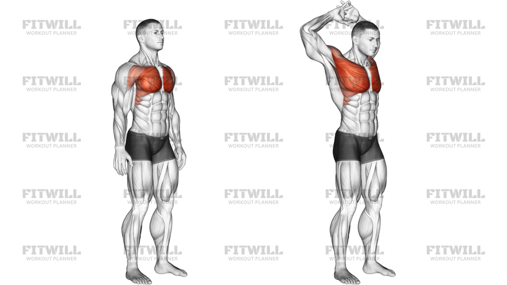 Above Head Chest Stretch