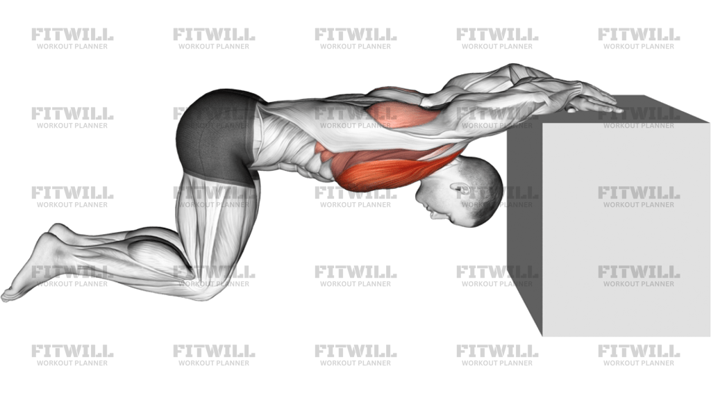 Kneeling Chest Stretch