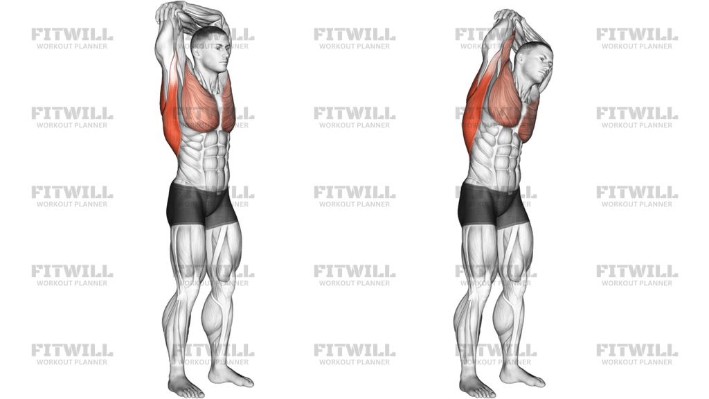Standing Reach Up Back Rotation Stretch