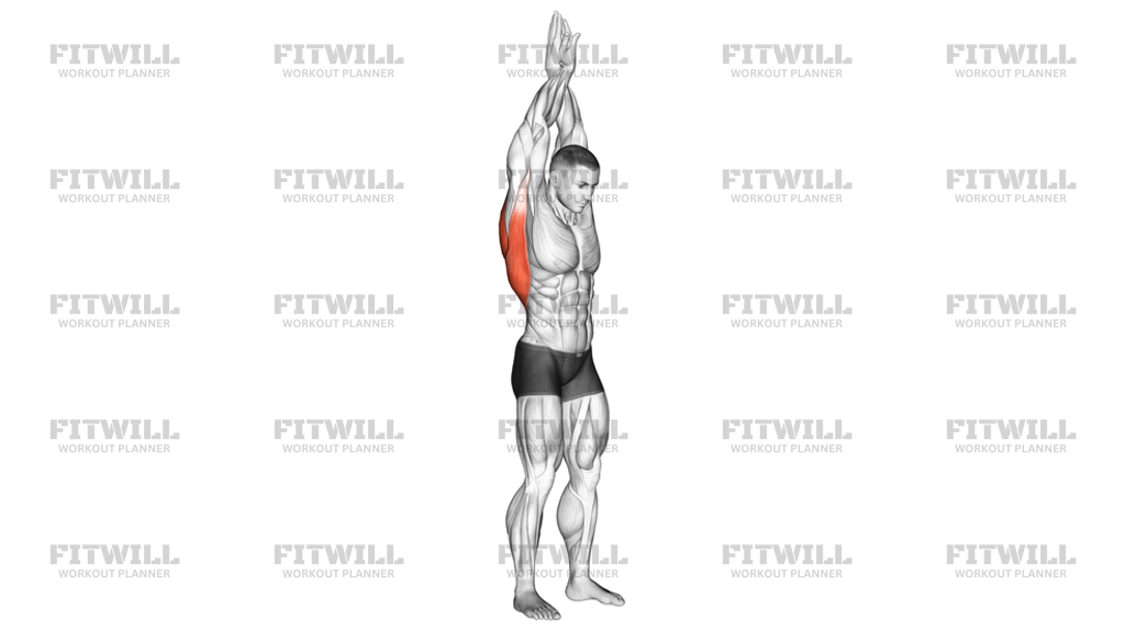 Reach Up Back Stretch: Exercise Guide, Techniques, Benefits, How to ...