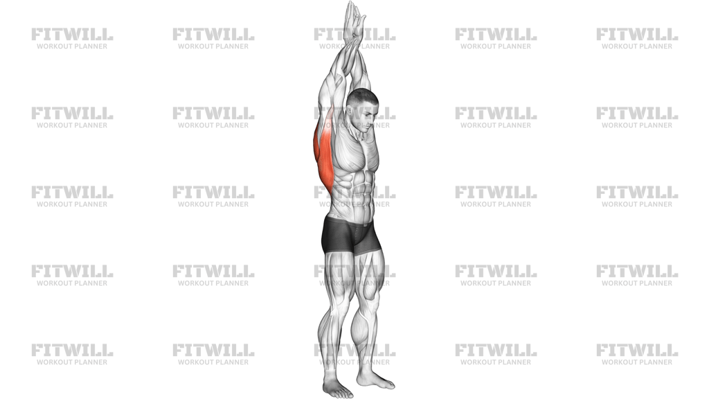 Reach Up Back Stretch
