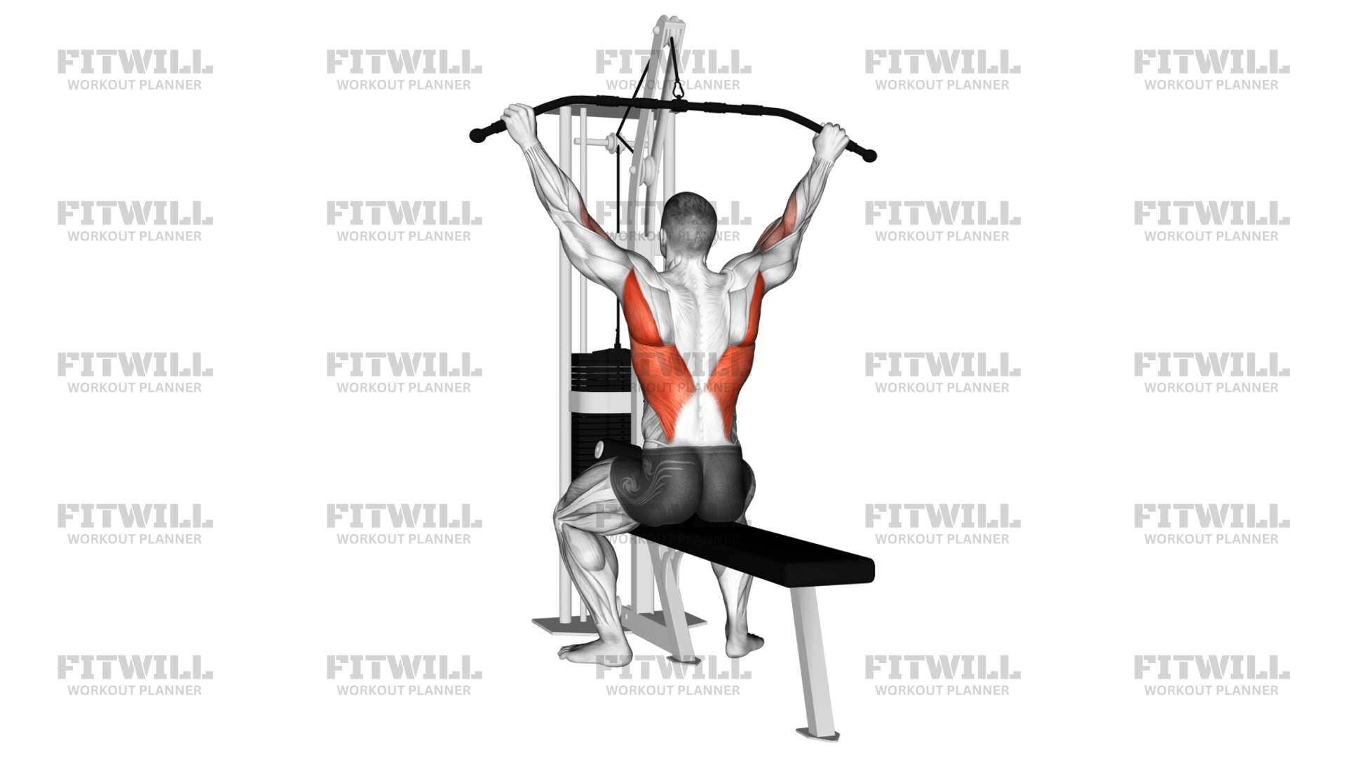 Cable Suspension Back Stretch Exercise Guide Techniques Benefits How to Muscles Worked Tips Tricks Fitwill
