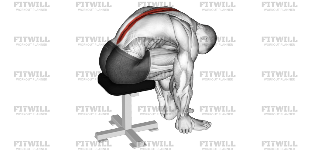 Sitting Lower Trunk Extensor Stretch: Exercise Guide, Techniques ...