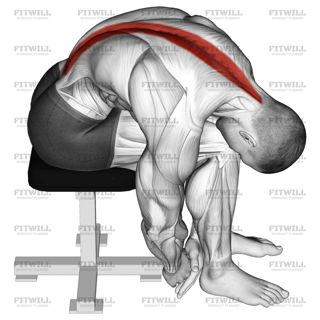Seated Lower Trunk Extensor Lateral Flexor Stretch: Exercise Guide ...