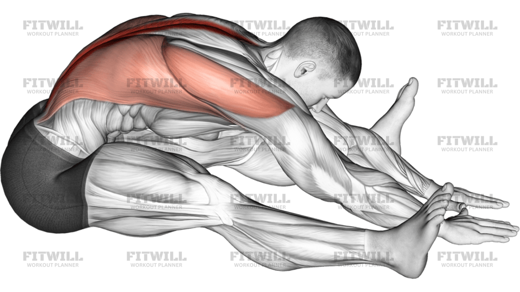 Sitting Bent-Over Back Stretch