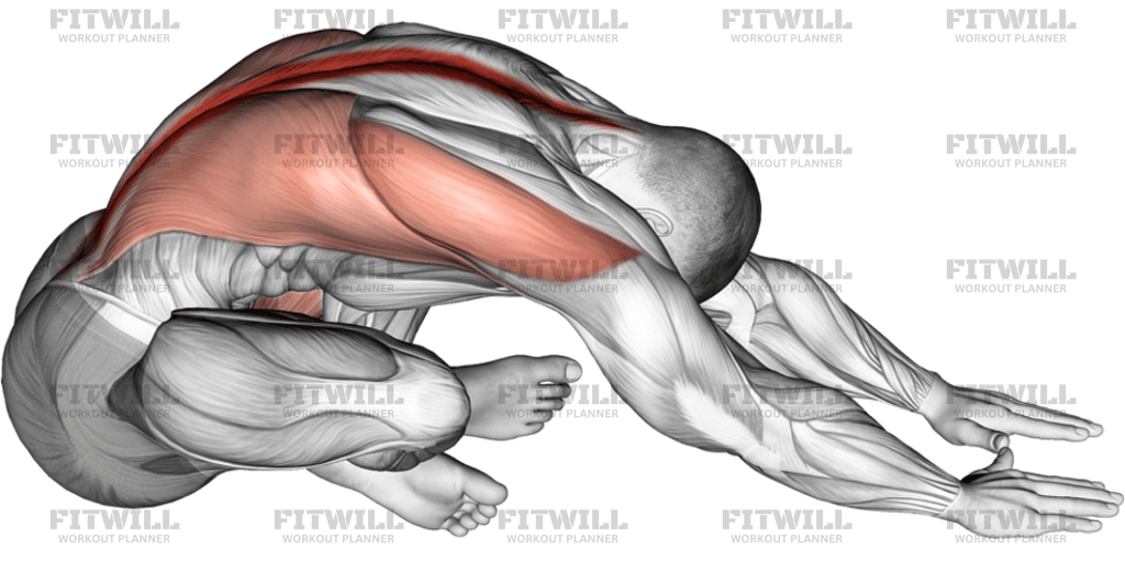 Sitting Crossed Legged Reach Forward Stretch: Exercise Guide, Video ...