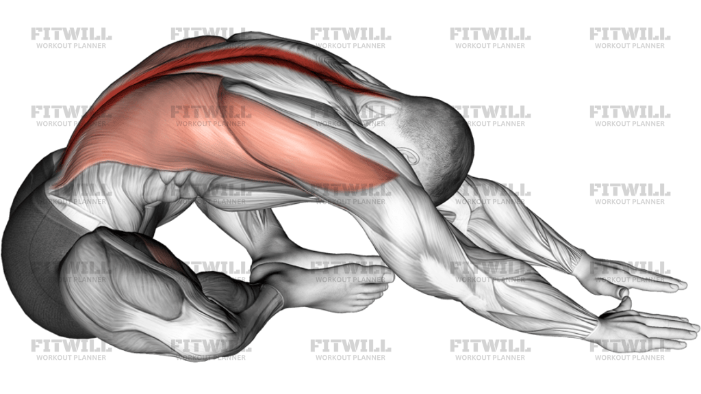 Sitting Feet Together Reach Forward Stretch