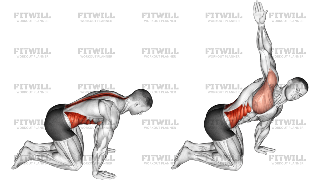 Kneeling Back Rotation Stretch