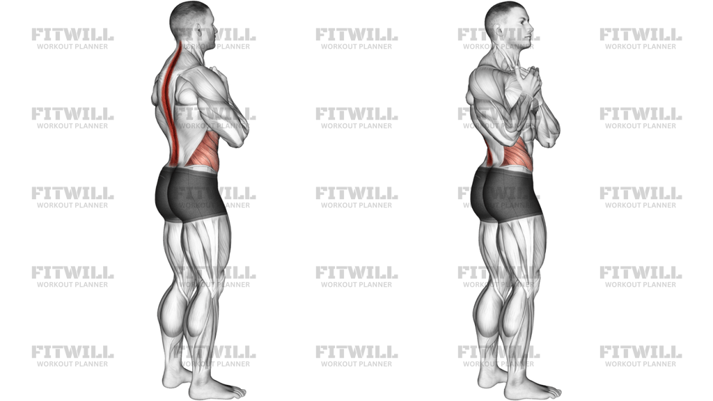 Standing Back Rotation Stretch