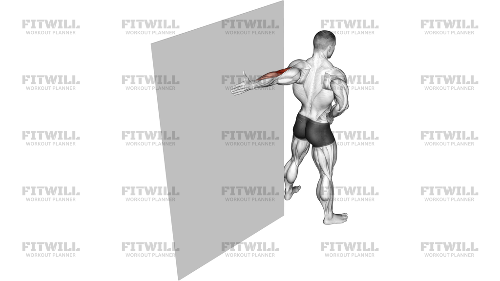 Elbow Flexor Stretch