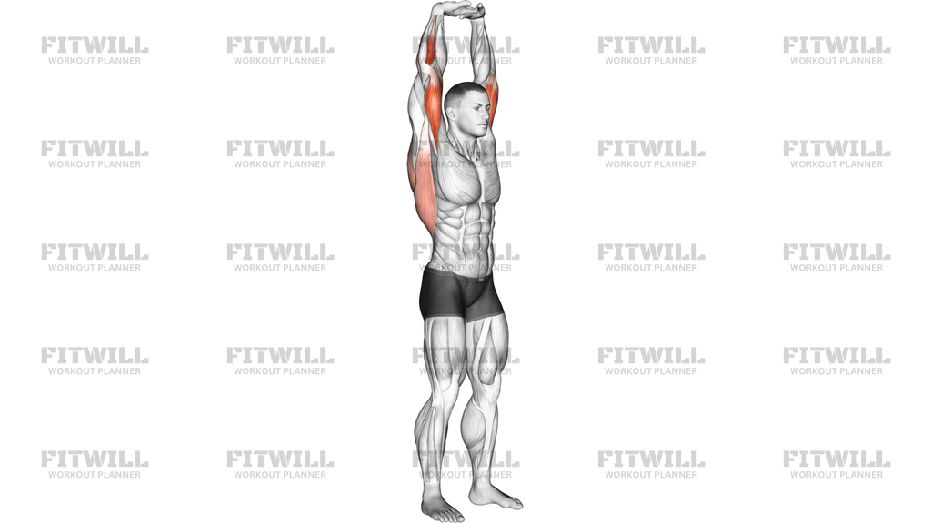 Extension Of Arms In Vertical Stretch
