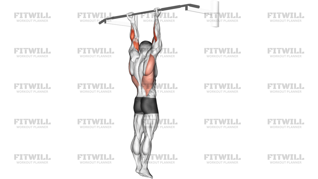 Supination Bar Suspension Stretch