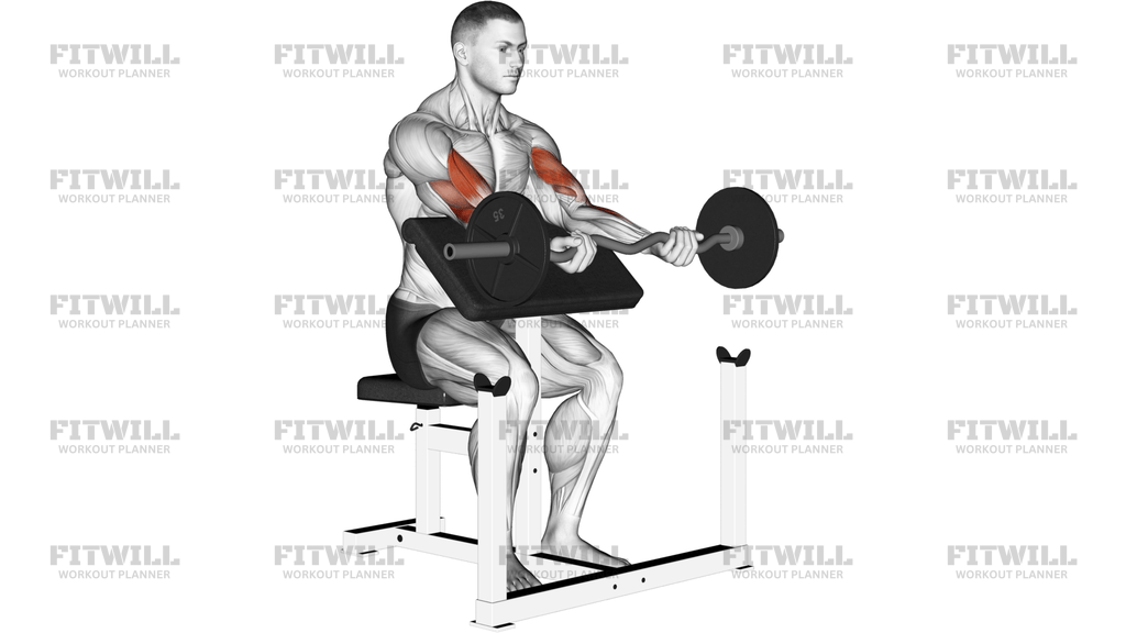 EZ Bar Preacher Arms Stretch