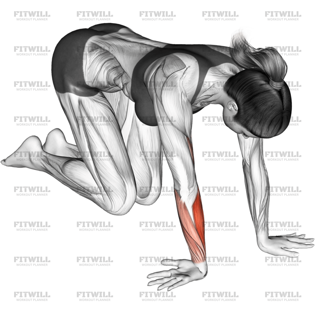 Wrist Ulnar Deviator And Extensor Stretch: Exercise Guide, Techniques ...