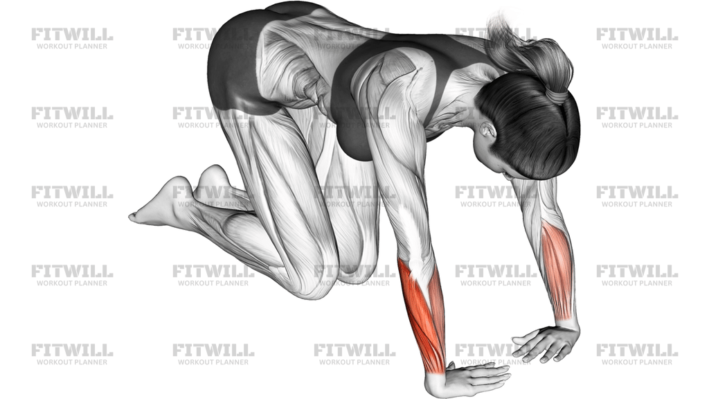 Wrist Ulnar Deviator And Flexor Stretch