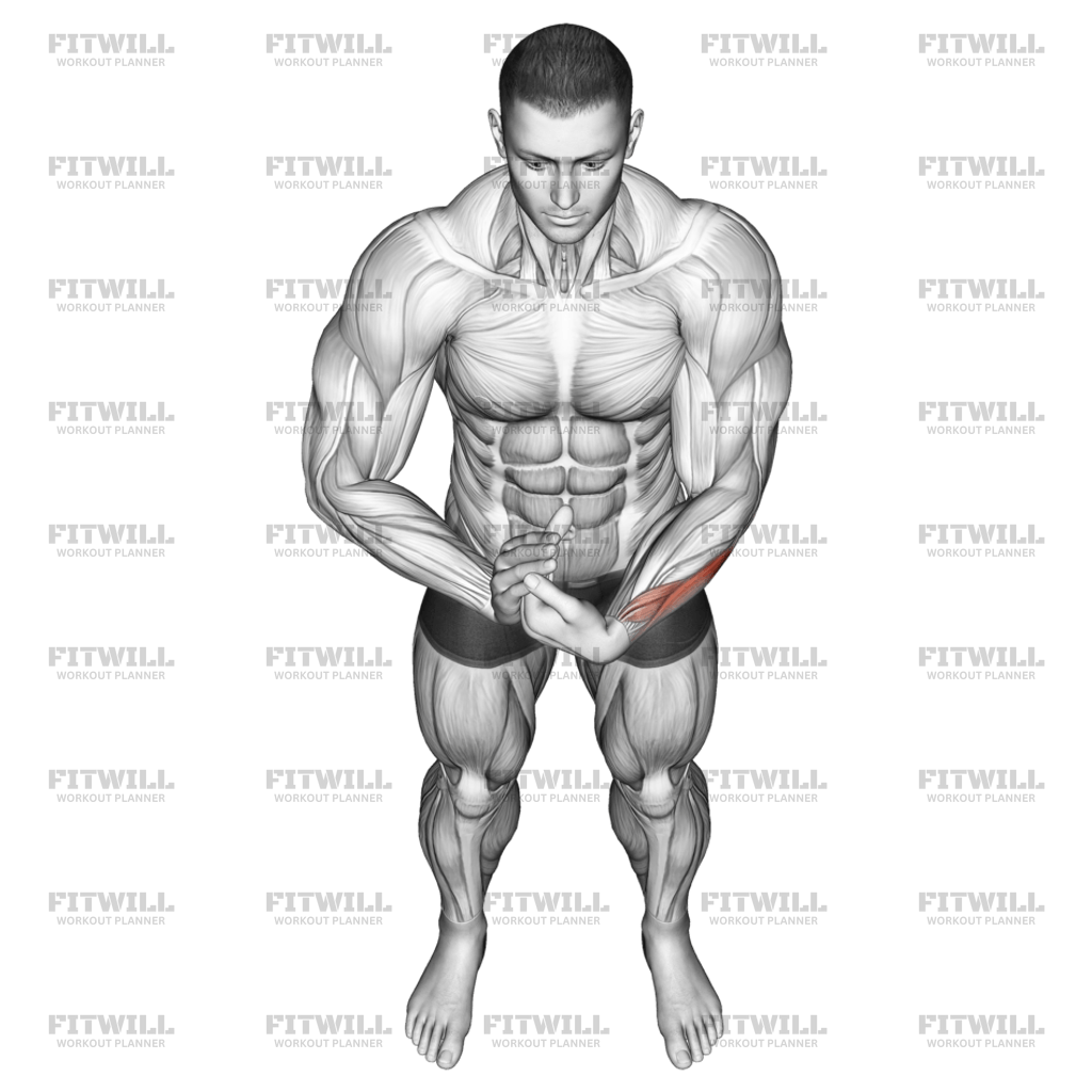 Finger muscle workout outlet