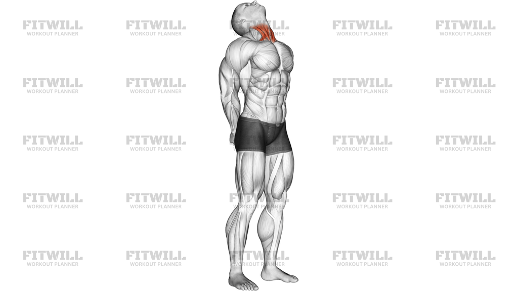Neck Extension Stretch