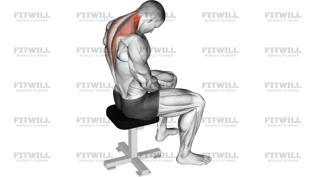 Sitting Neck Flexion Stretch