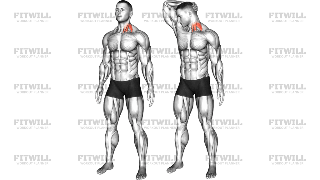 Neck Extensor And Rotational Stretch