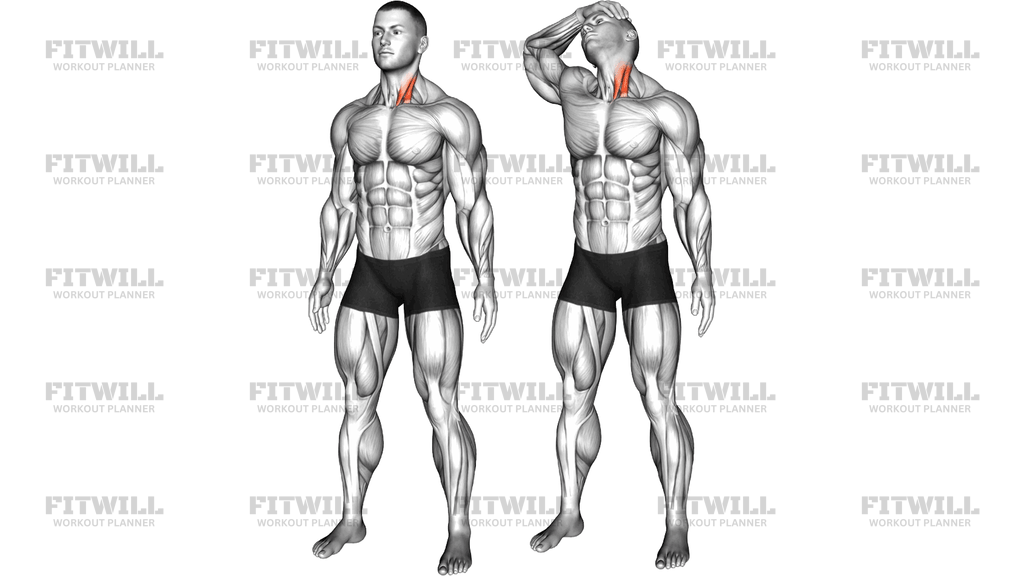 Neck Flexor And Rotational Stretch