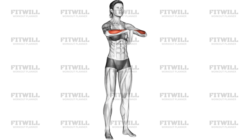 Wrist Extensor Stretch