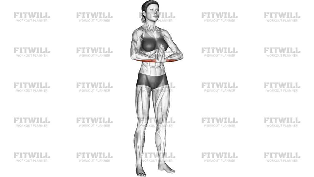 Wrist Flexor Stretch
