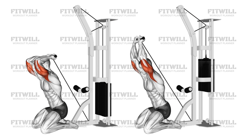 Cable Kneeling Triceps Extension VERSION 2 Exercise Guide Video Techniques Benefits How to Muscles Worked Tips Tricks Fitwill