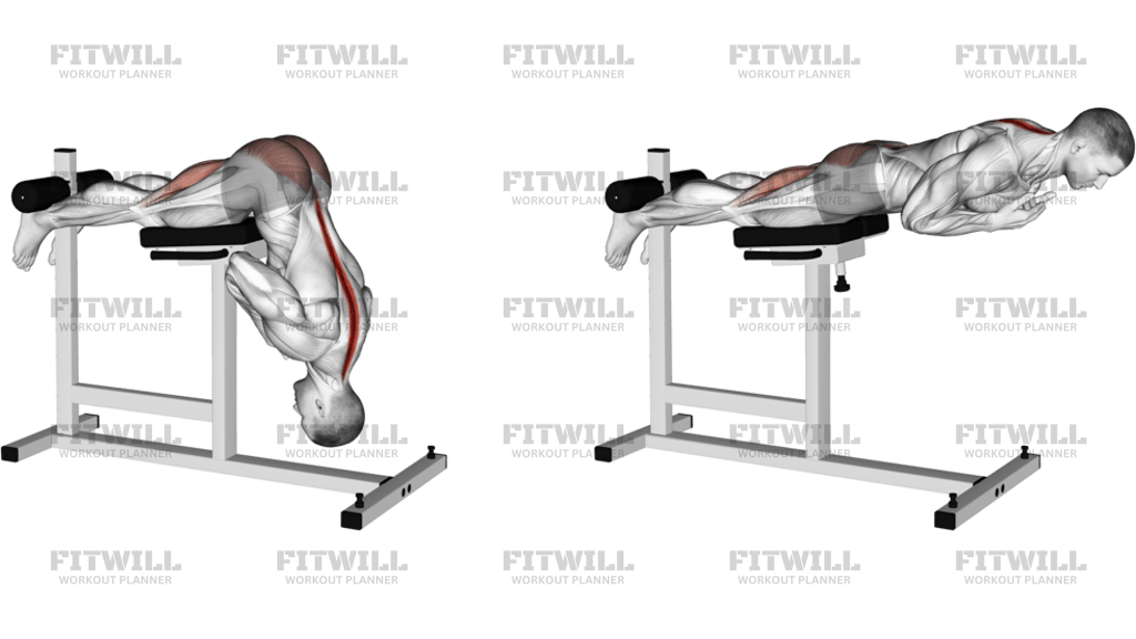 Hyperextension Version 2