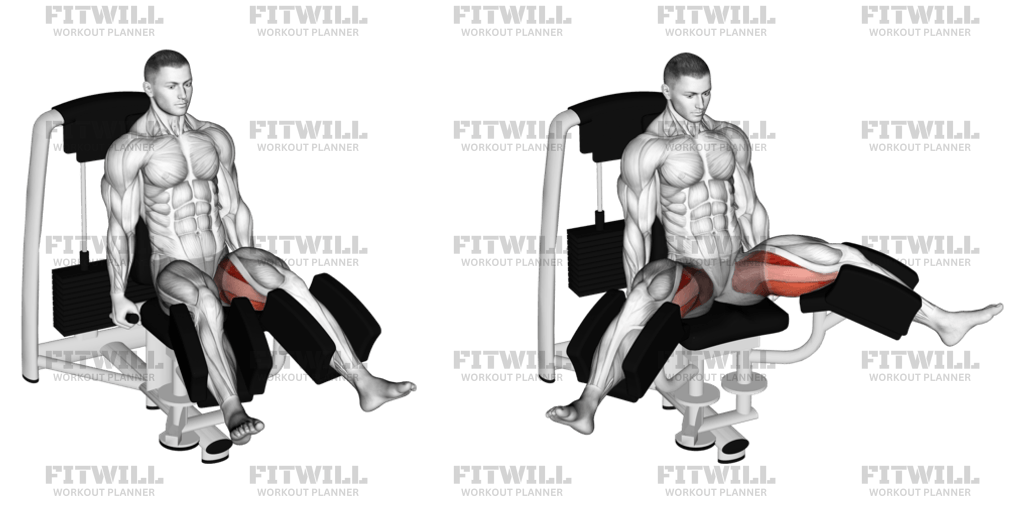 Lever Seated Hip Abduction Version 2 Exercise Guide Techniques 