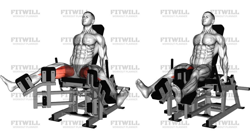Lever Seated Hip Abduction Version 2
