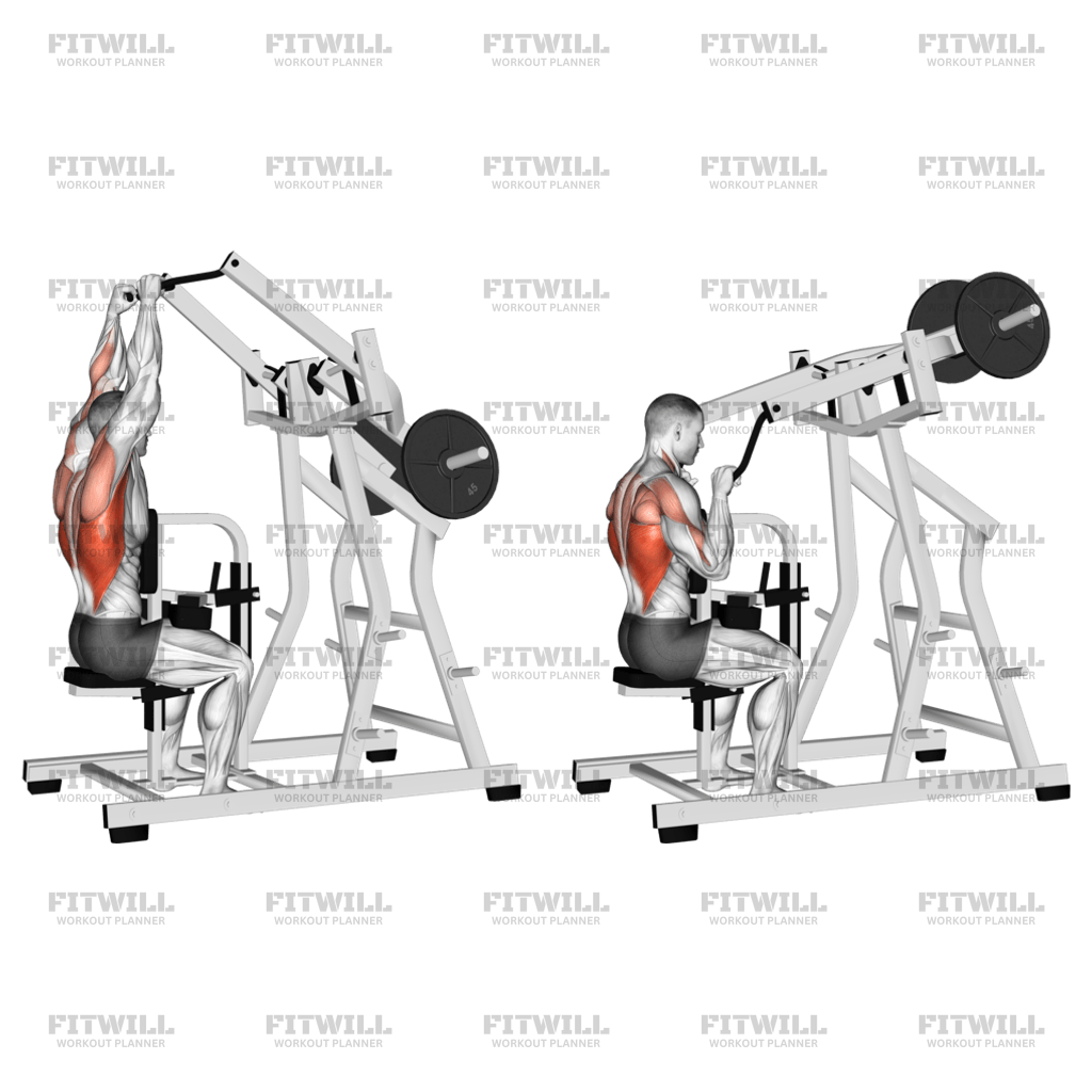 Lever Lateral Pulldown plate Loaded Exercise Video Fitwill