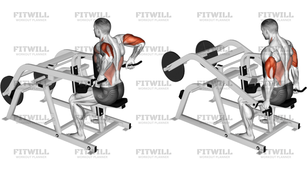 Lever Triceps Dip Plate Loaded