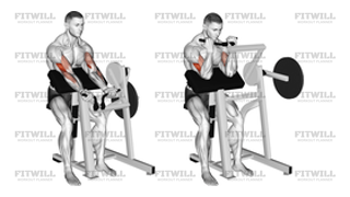 Lever Preacher Curl