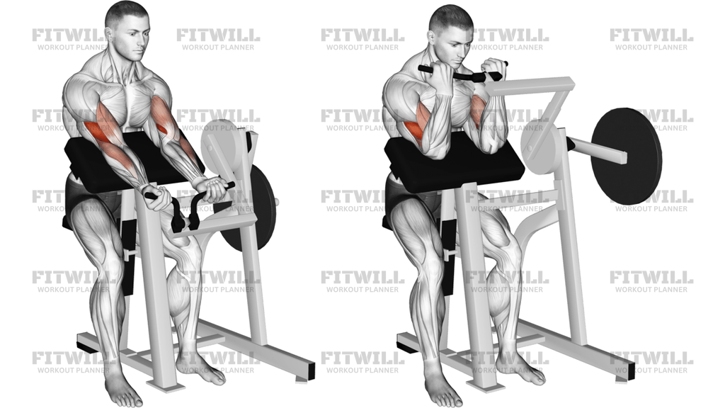 Lever Preacher Curl