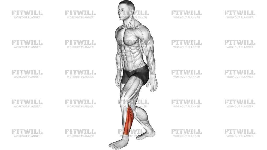 Standing Heel Back Achilles Stretch
