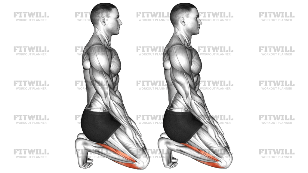 Toe Squat Stretch: Exercise Guide, Techniques, Benefits, How to ...