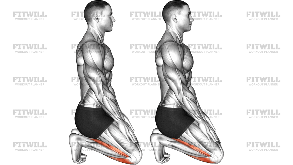 Toe Squat Stretch
