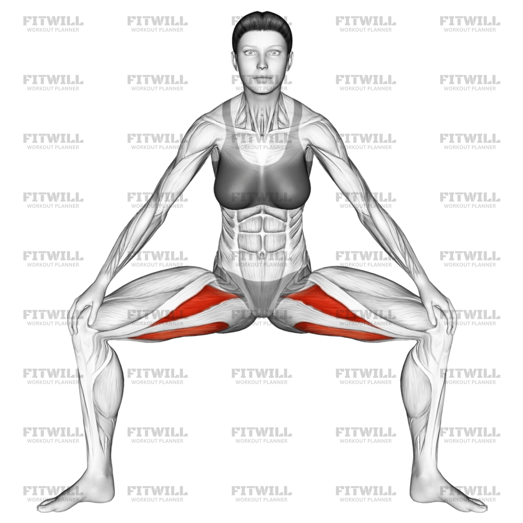 Standing Wide Knees Adductor Stretch: Exercise Guide, Techniques ...