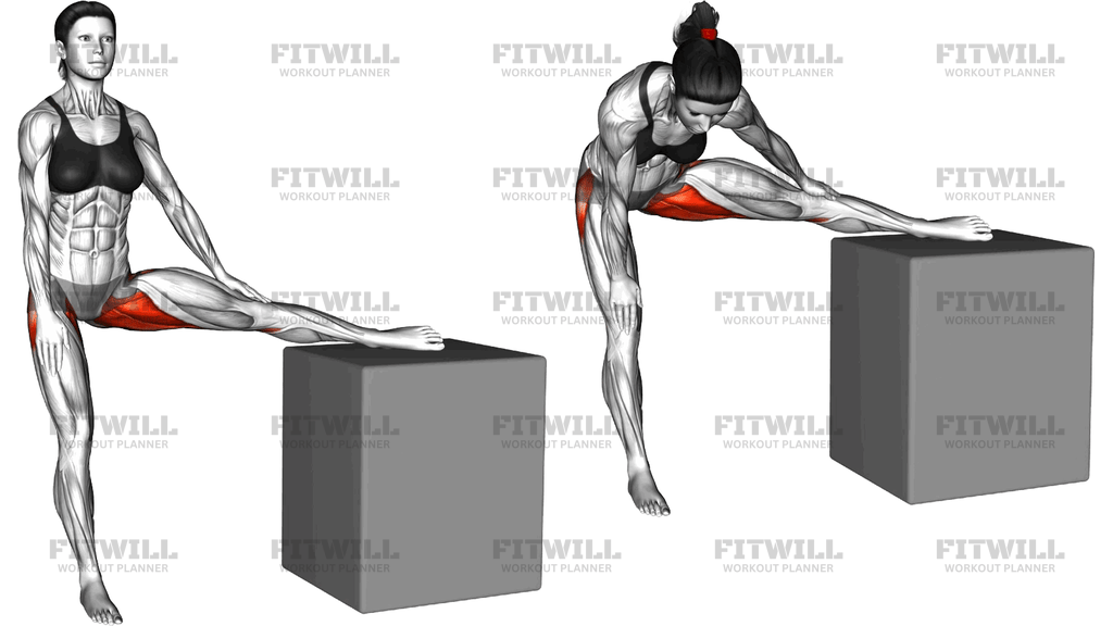 Standing Raised Leg Hip Adductor Stretch