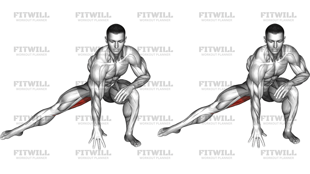 Standing Bent Knee Hip Adductor Stretch