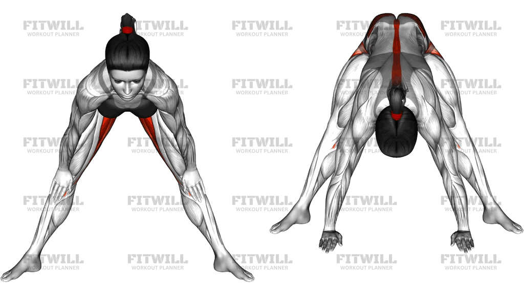 Standing Wide Leg Adductor Stretch