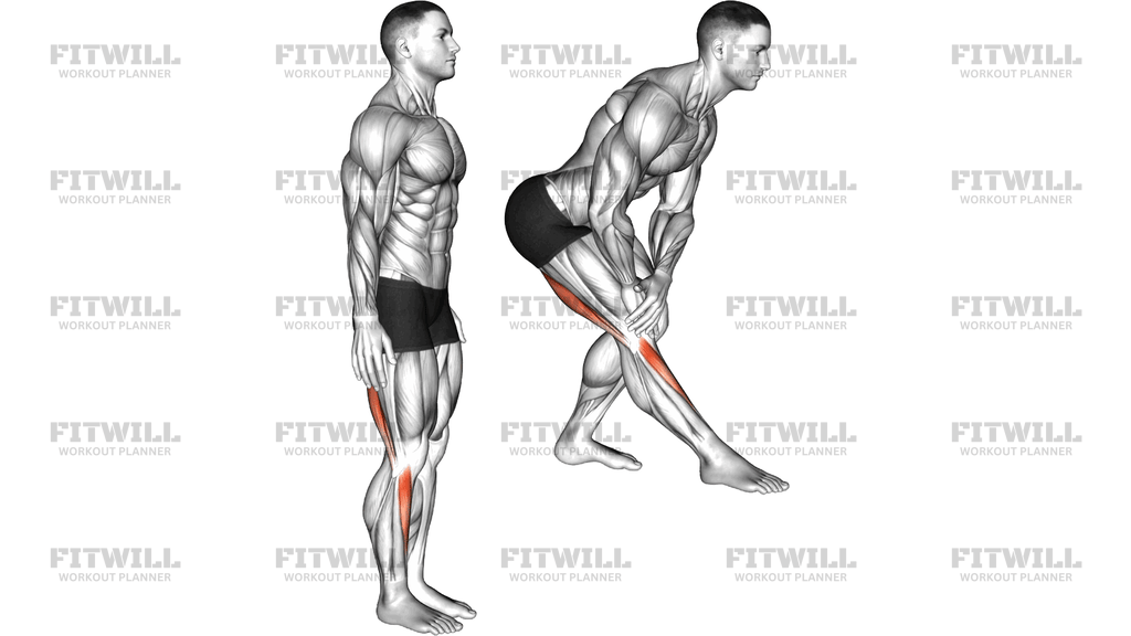 Standing Toe Down Hamstring Stretch