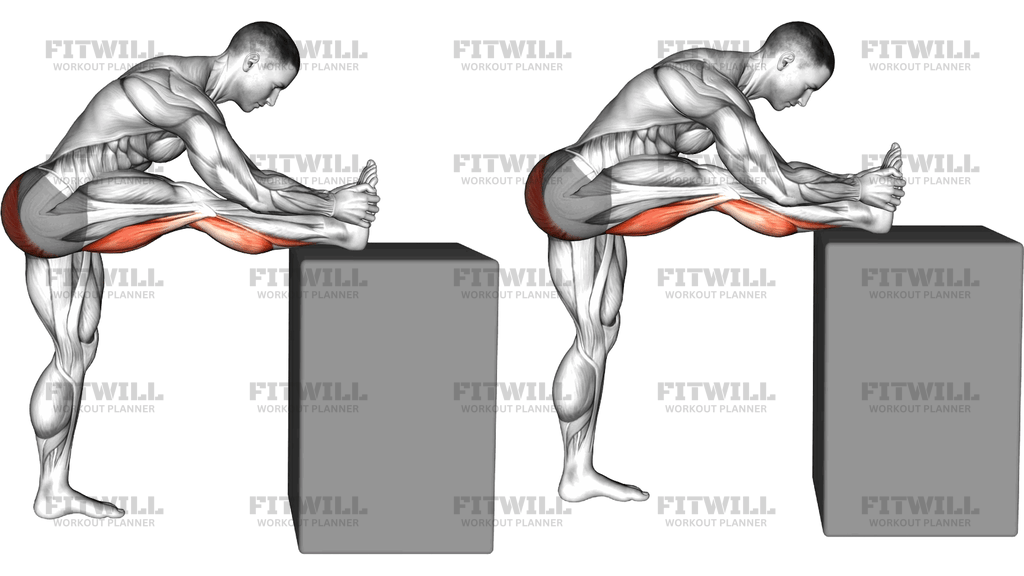 Raised Leg Knee Flexor Stretch