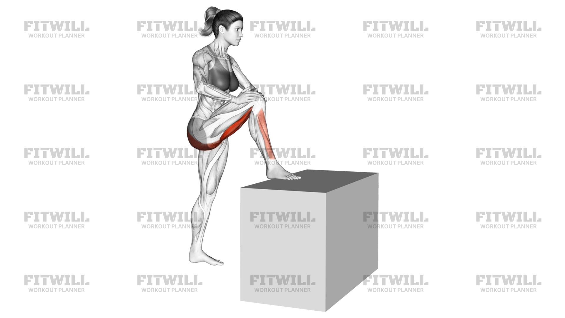 Bent knee hamstring stretch hotsell