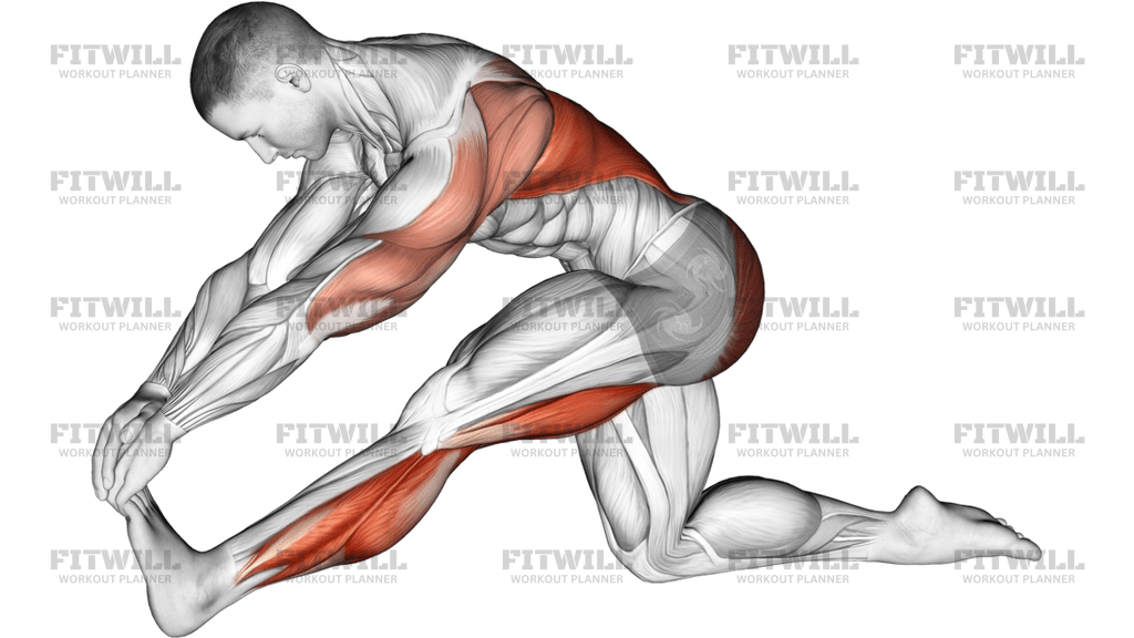 Kneeling Toe Up Hamstring Stretch