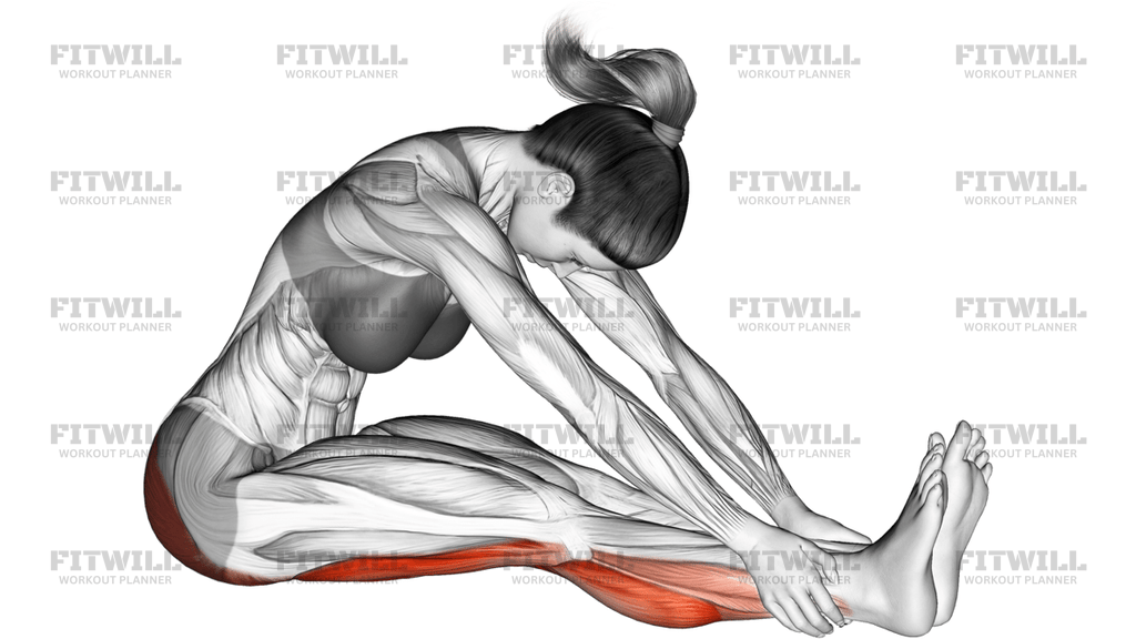 Seated Knee Flexor Stretch