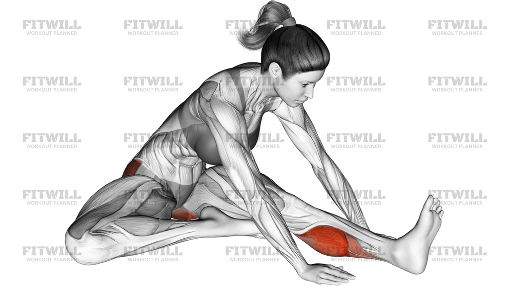Seated Hip External Rotator And Hip Extensor Stretch