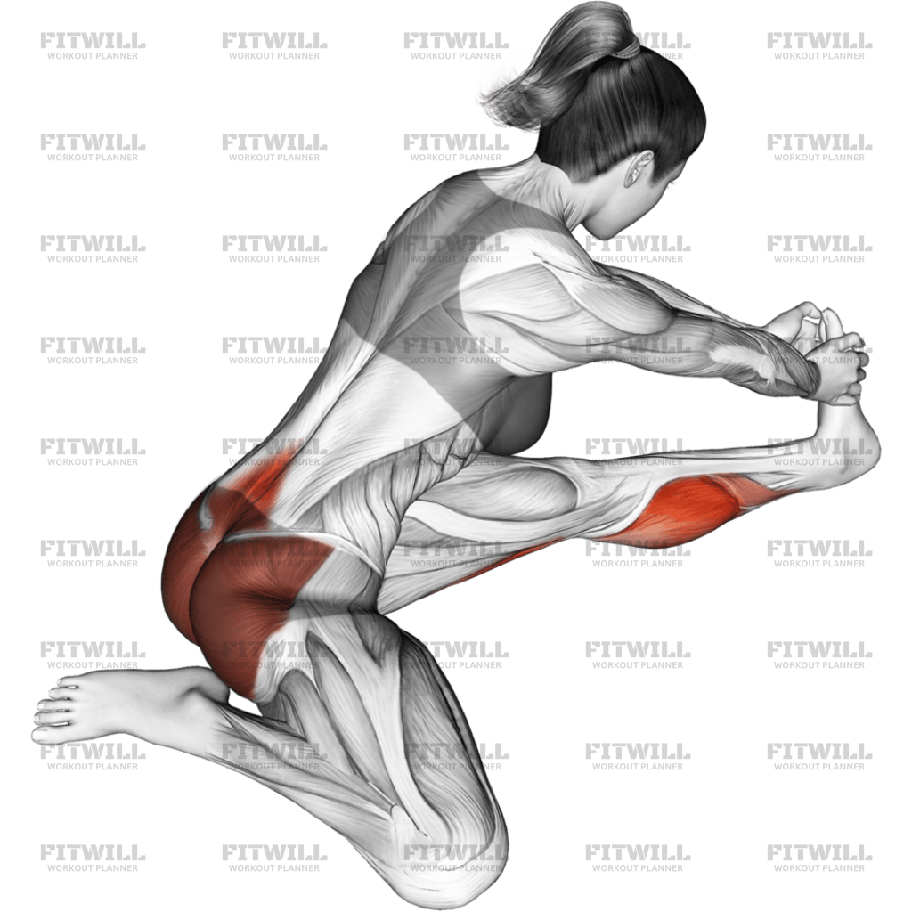 Seated Hip Stretch With Opposite Leg From Behind: Exercise Guide ...
