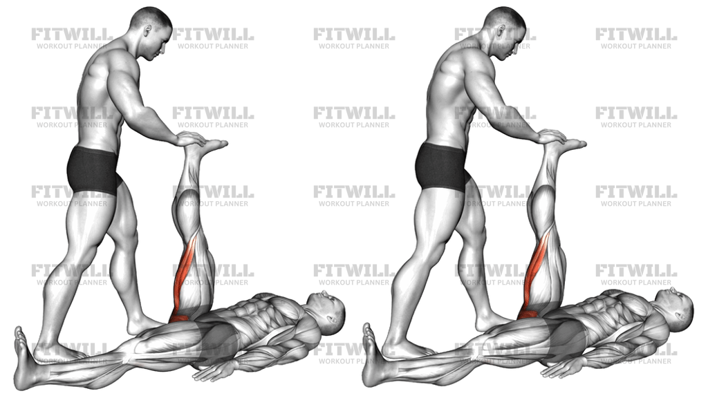 Assisted Lying Hamstring Stretch: Exercise Guide, Techniques, Benefits ...